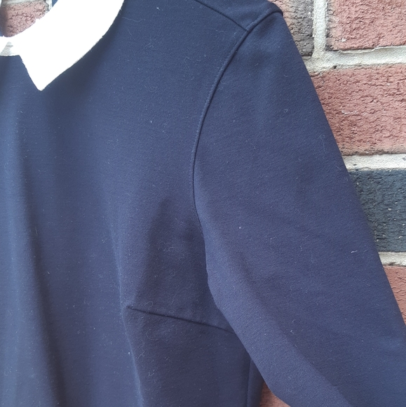 Lace collar mod Penguin dress - Picture 5 of 8